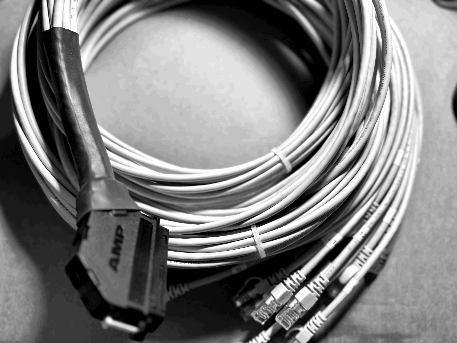 PoLRE Switch MALE RJ21 Cat3 HYDRA Amphenol Telco Breakout Cable to 12 Ports RJ45 3m