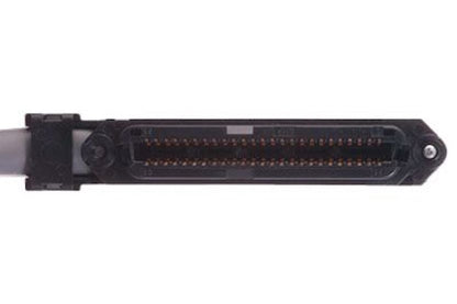 RJ21 AMP GATEWAY Female Socket 25 Pair Telco Cable connected to a 24 Way Cat5e Network Panel